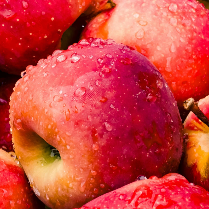 Apple Juice Powder