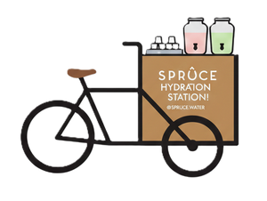 Spruce bike
