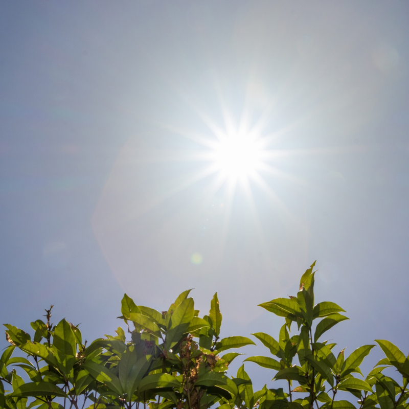 Vitamin D3 