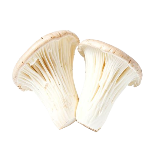 Lion's Mane, Tremella + B6